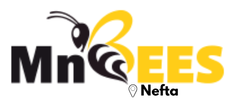 MnBees Tozeur - Nefta